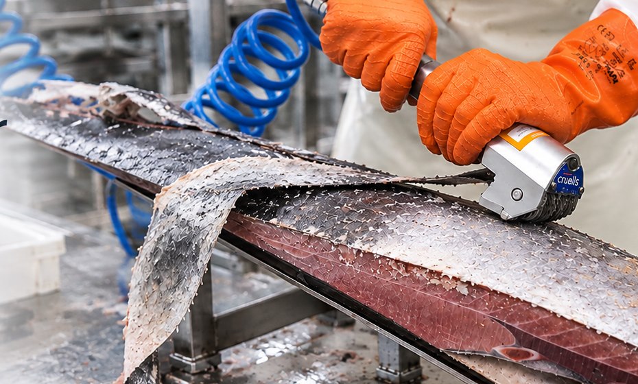 CRUELLS Q-72P pneumatische Fisch-Enthäutungsmaschine beim Enthäuten von Tiefkühlfisch
